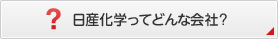 日産化学ってどんな会社?