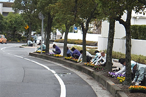 県道の植栽