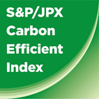 Dow Jones Sustainability Indices（DJSI）