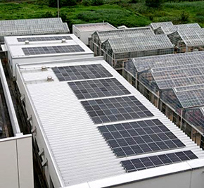 Introduction of Solar-power Generation System in Biological Research Laboratories