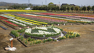 Nissan Bio-Park Nishi-Hongo