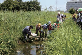 Nissan Bio-Park Nishi-Hongo