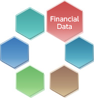 Financial Data