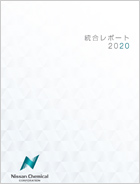 統合レポート 2020