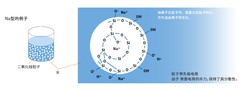 Na型的例子