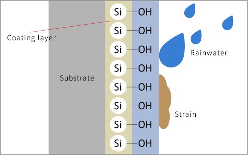 Anti-fouling property (Hydrophilicity)