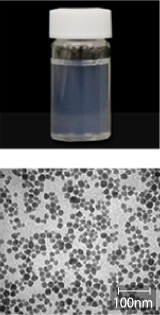 Appearance and TEM image