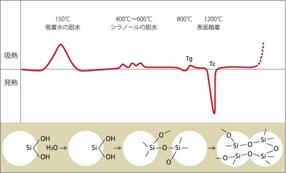 示差熱分析（DTA）