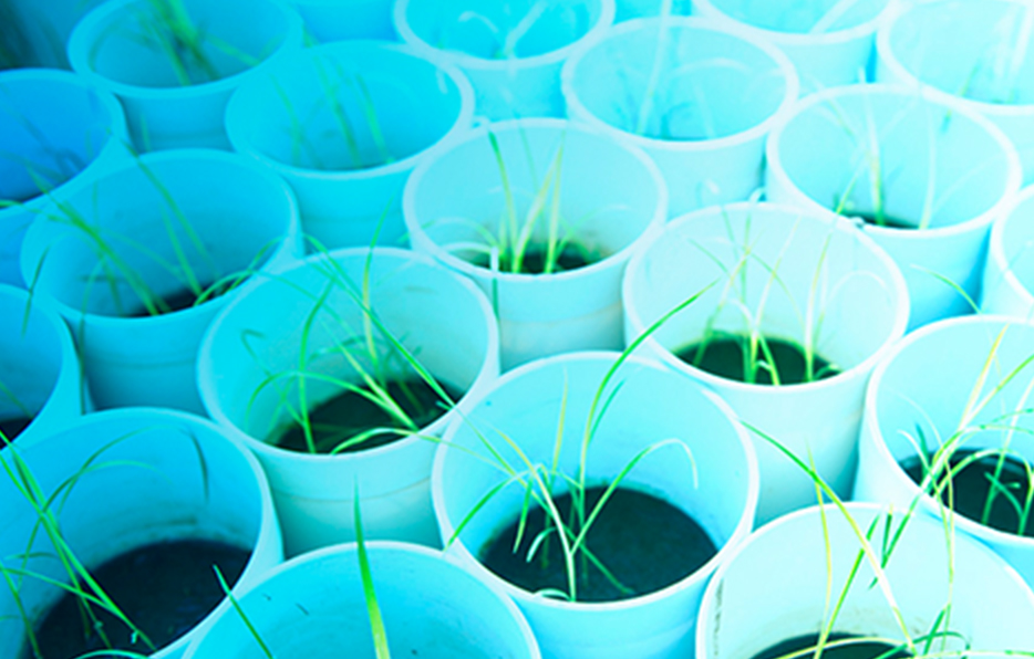 日産化学株式会社 採用情報サイト